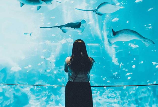 Woman standing in front of an aquarium exhibit