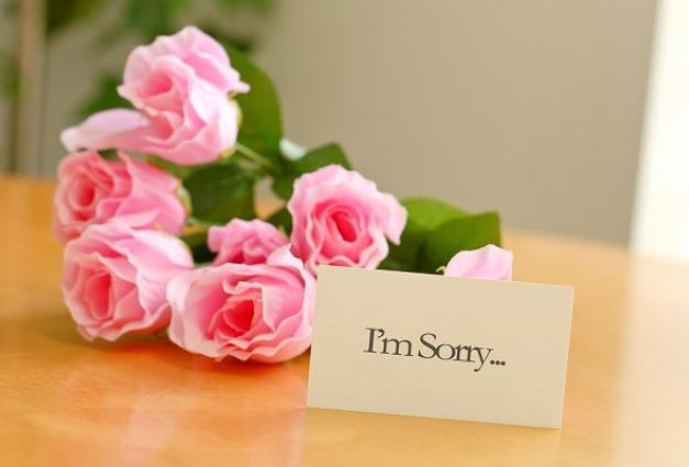 Image of pink roses with an I'm Sorry card