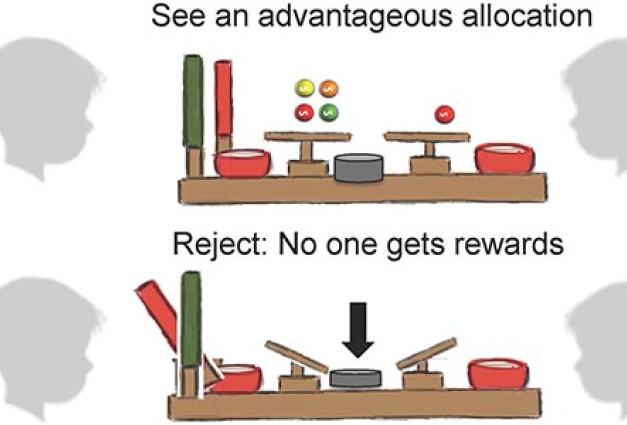 A drawing of two people, facing a table with items on it and a scale. Another sequence of the image shows the option of rejecting the items and no one receiving anything.