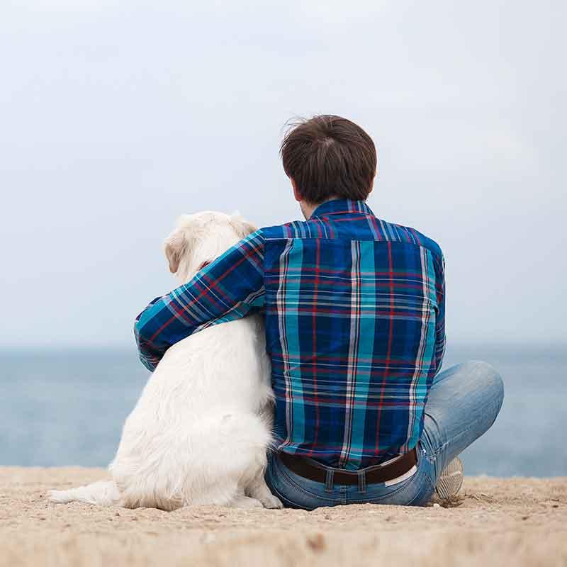 Man sitting on beach with dog