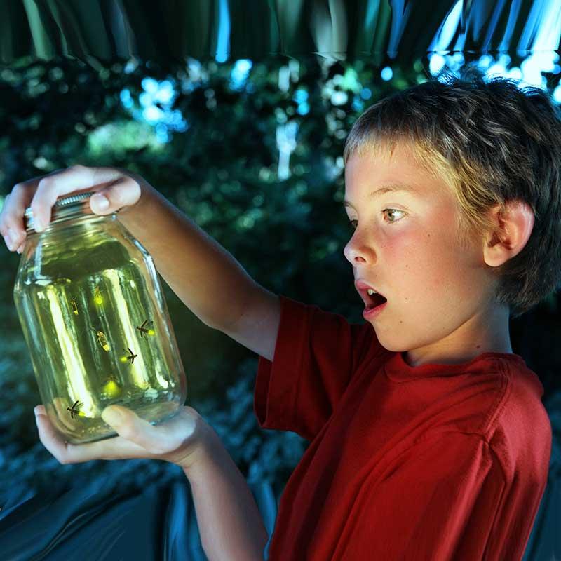 Young boy with expression of awe holding jar of fireflies