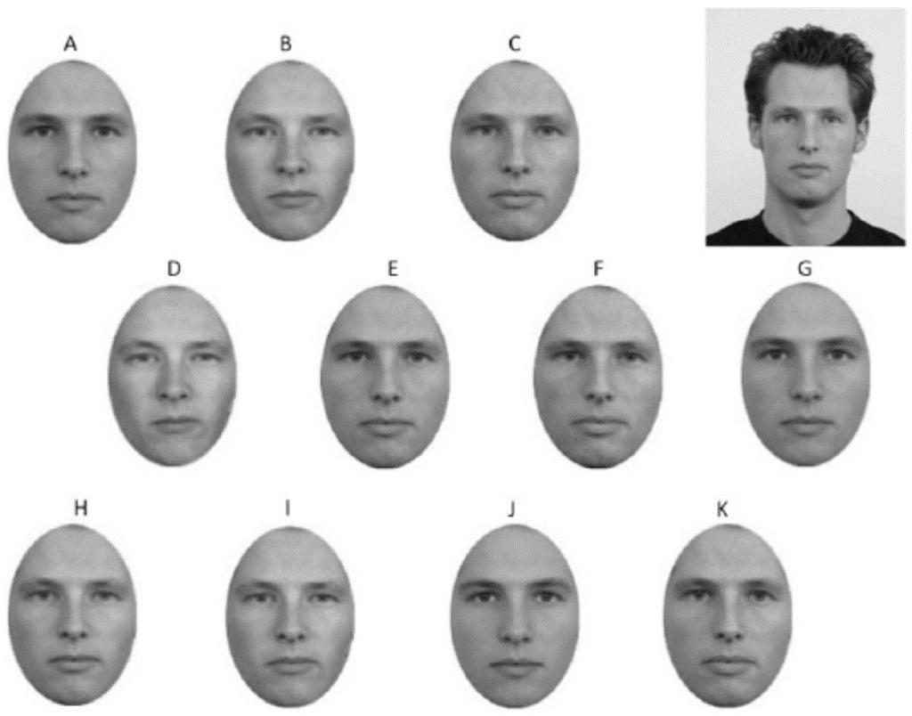 The matching activity called for study participants to select one out of eleven cropped faces that matched a sample face.
