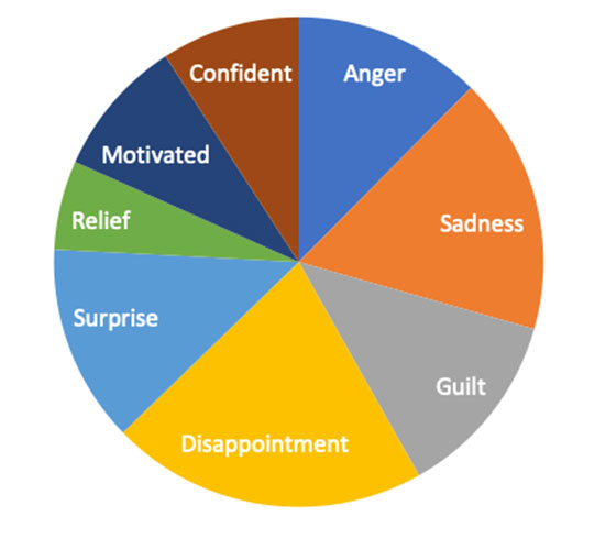 Pie graph of emotions