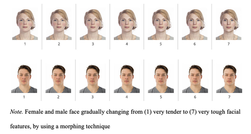 Female and male face gradually changing from very tender to very tough facial features, by using a morphing technique