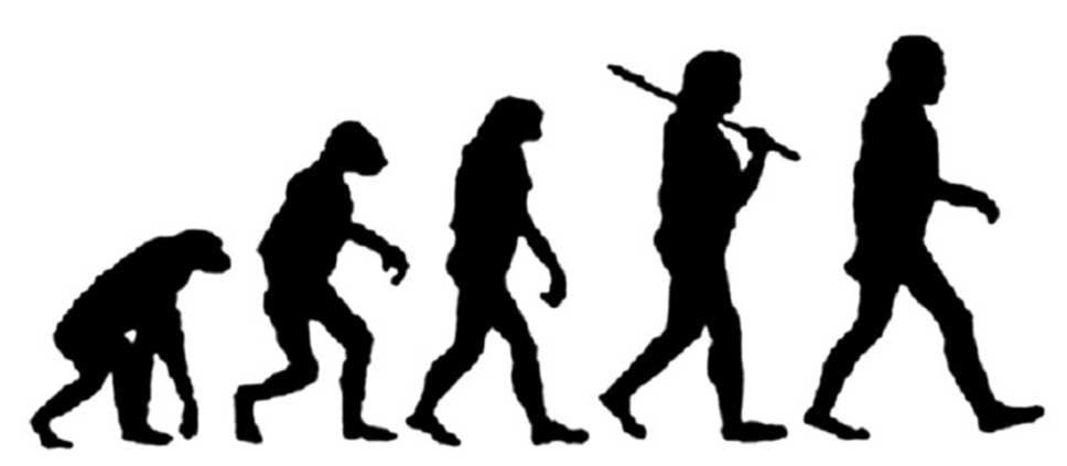 This image depicts the folk notion of human evolutionary progress. Five silhouettes range from an ape-like ancestor (corresponding to 0 on the scale) to a fully modern man (corresponding to 100 on the scale) 