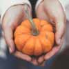 Photo of hands holding small pumpkin