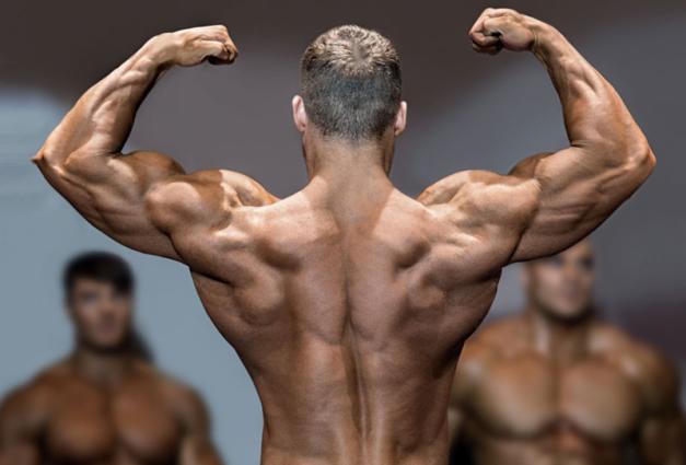 Bodybuilder flexing back and biceps