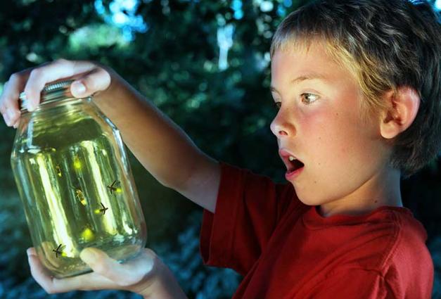 Young boy with expression of awe holding jar of fireflies