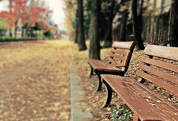 photo of Empty bench during Fall on a college campus