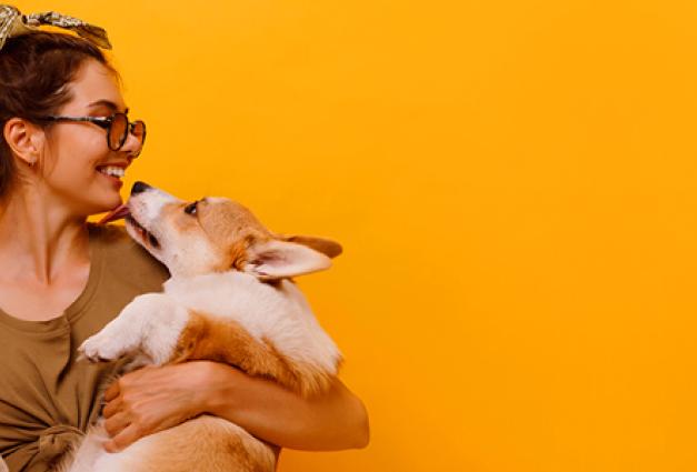 Woman holding and embracing Shiba Inu dog