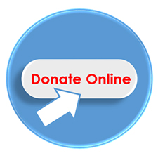 Donate Online button